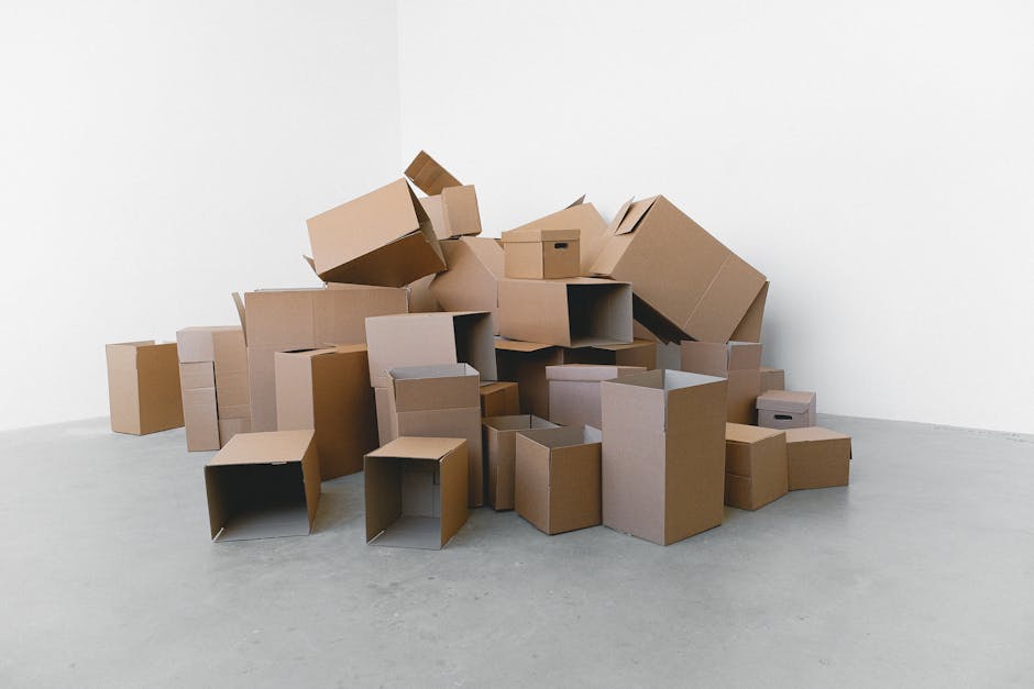 Professional movers packing cardboard boxes